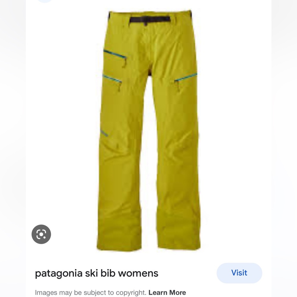 Patagonia Descensionist ski pants